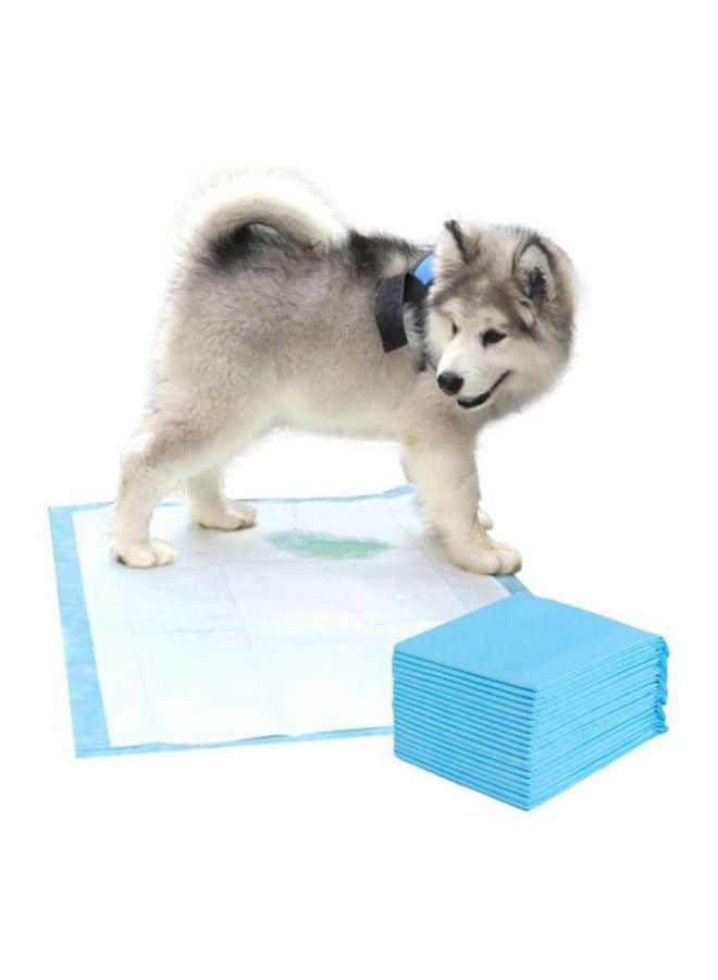 طقم بساط لتدريب الحيوانات الأليفة على التبول مكون من 20 قطعة أزرق فاتح - Image 2